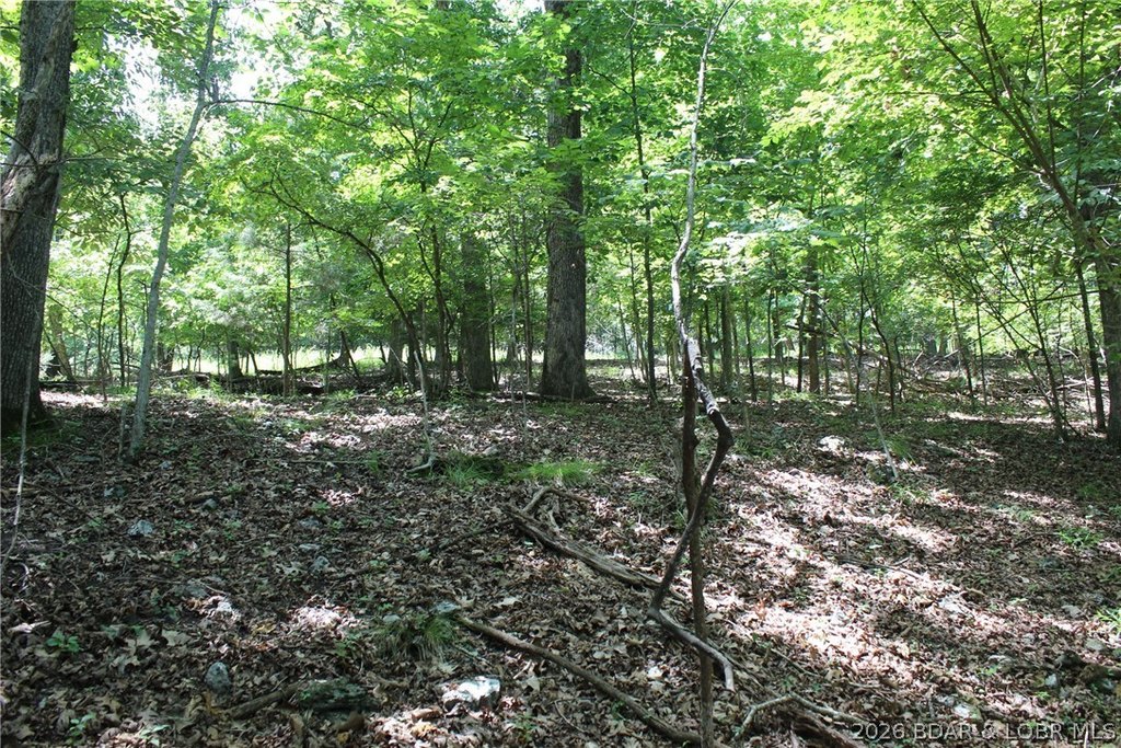 Picture 5