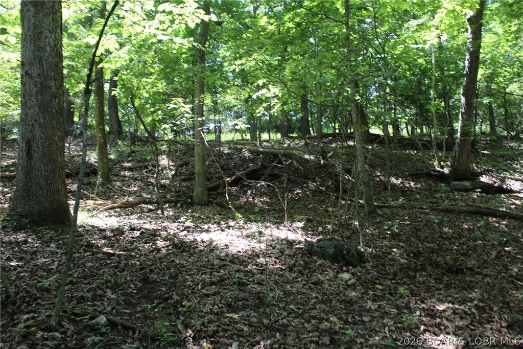Picture 10