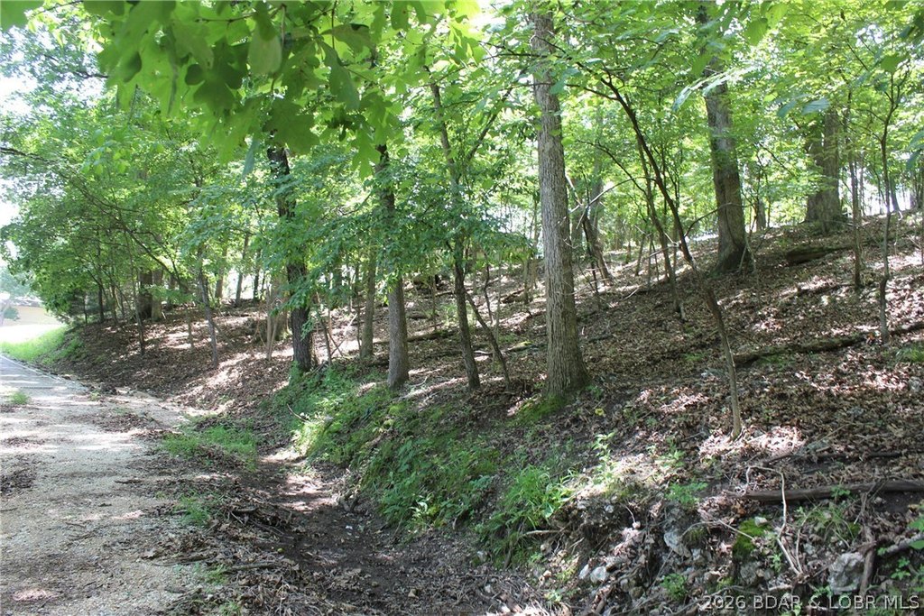 Picture 2