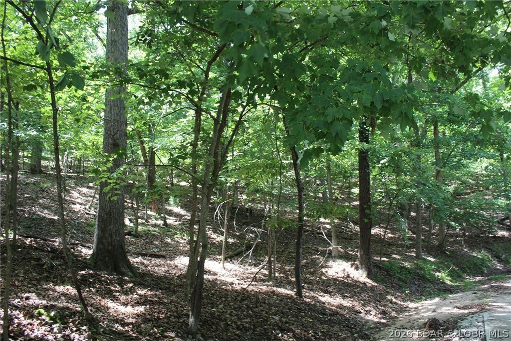 Picture 4