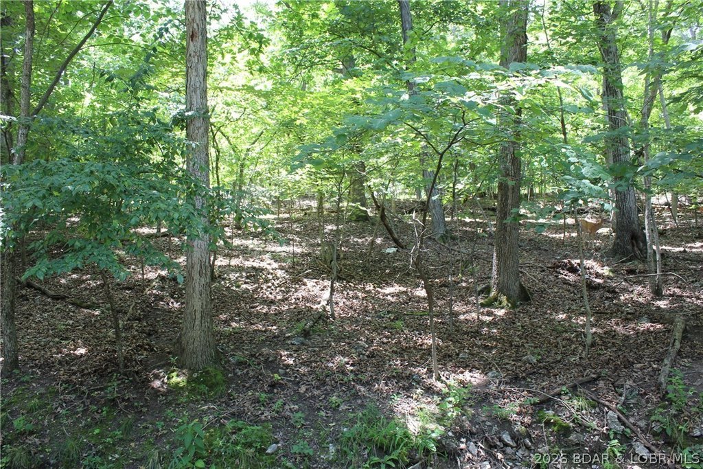Picture 3
