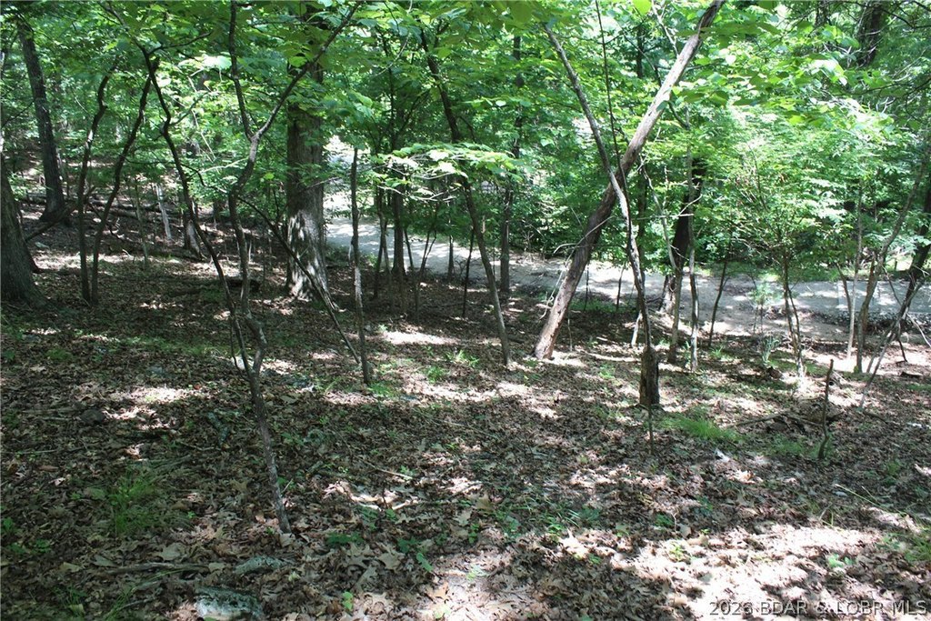 Picture 6