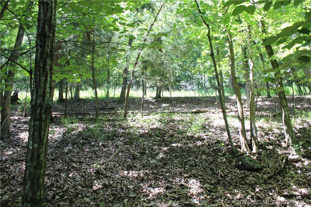 Picture 7