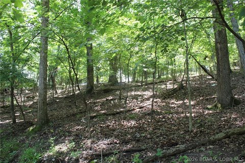 LAND - Gravois Mills, MO