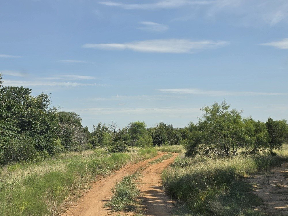 Picture 3
