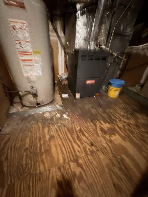 Picture 24