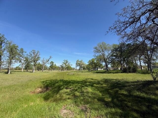 Bella Vista Land For Sale