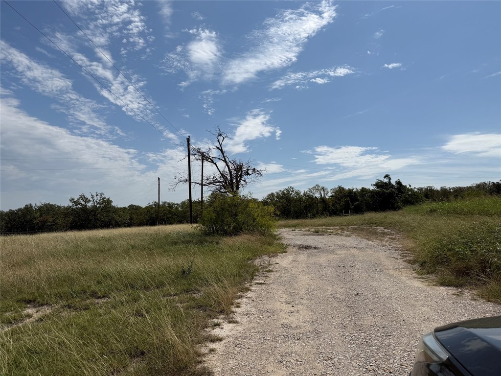 Picture 8
