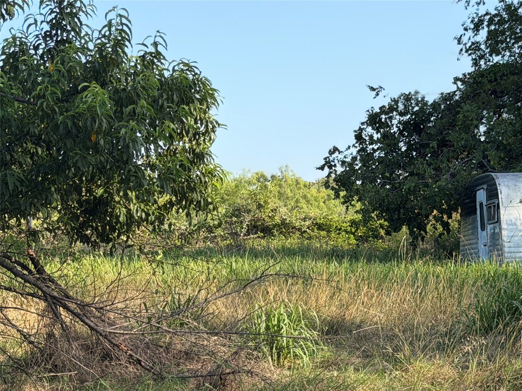 Picture 9