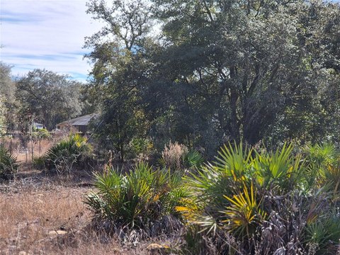 Acre Lot in North Estates