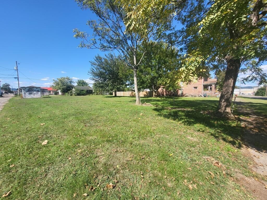 Picture 5