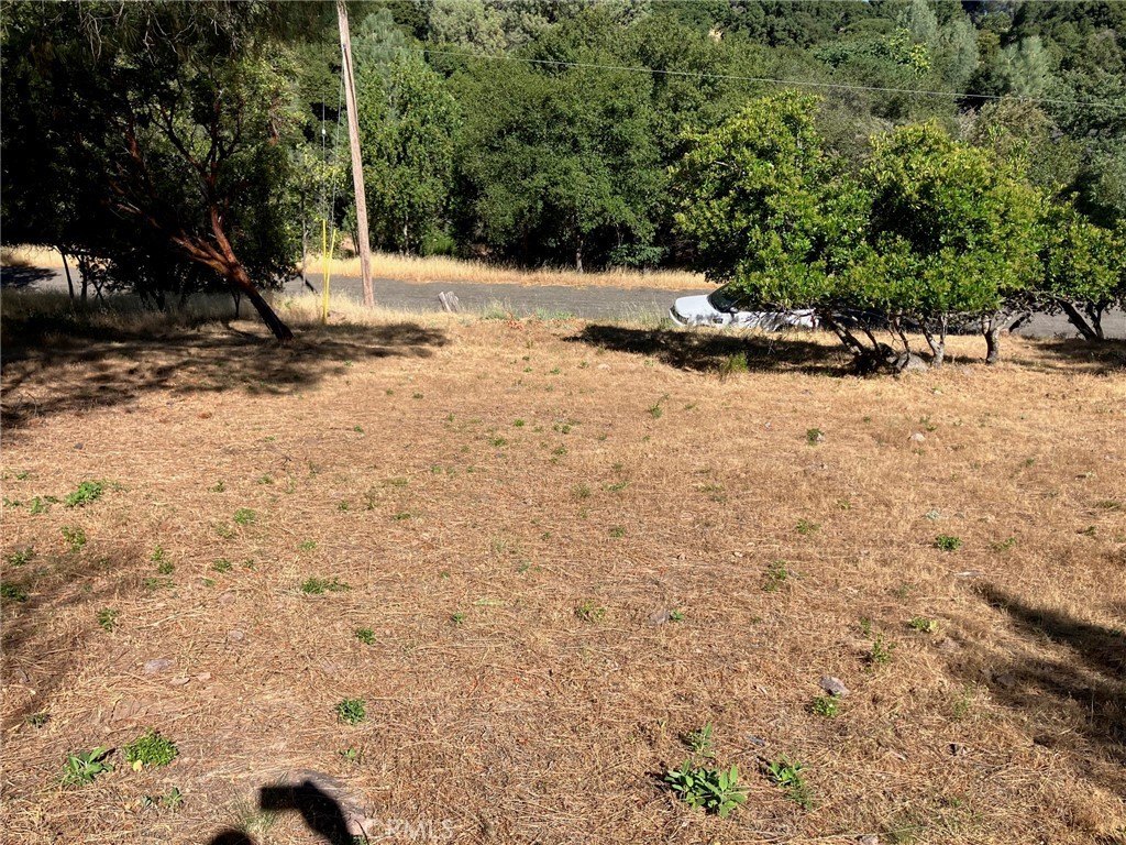Picture 3
