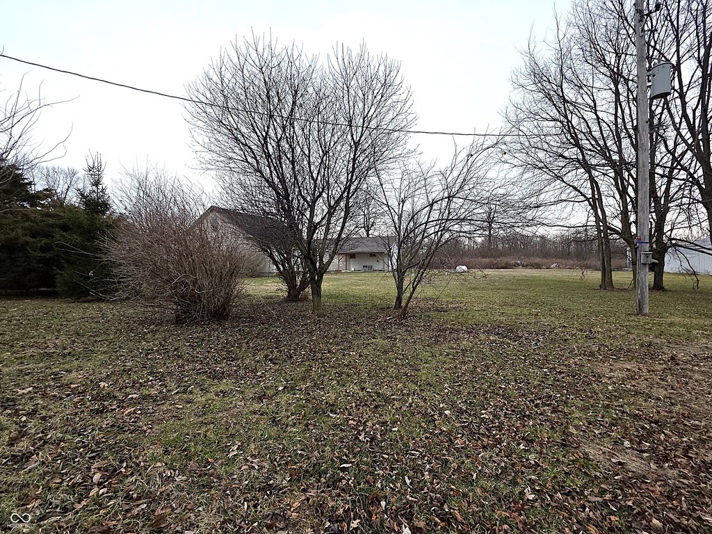Picture 11