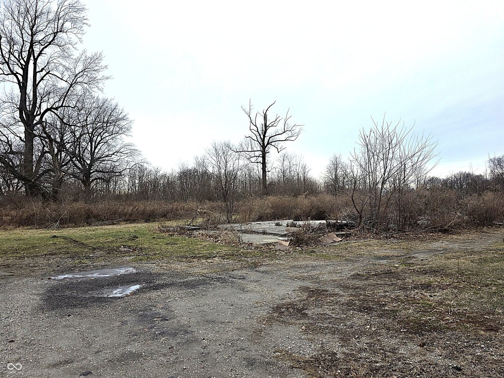 Picture 10