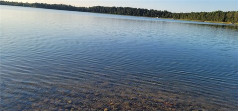 Wooded Land with Lake Frontage