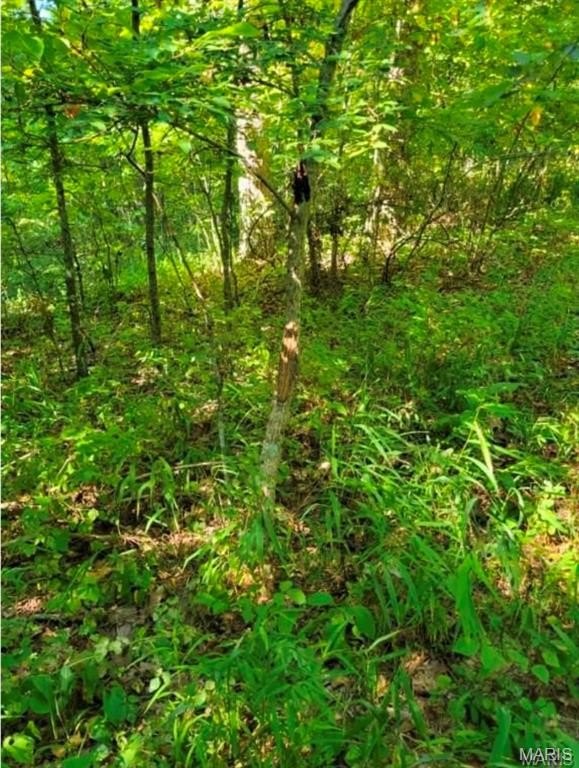 Ozark Hunting and Recreational Land