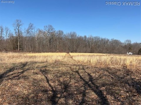 Webster Twp Vacant Land