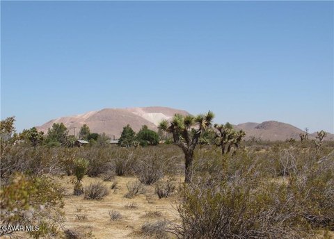 Commercial Office Zoned Land Parcel