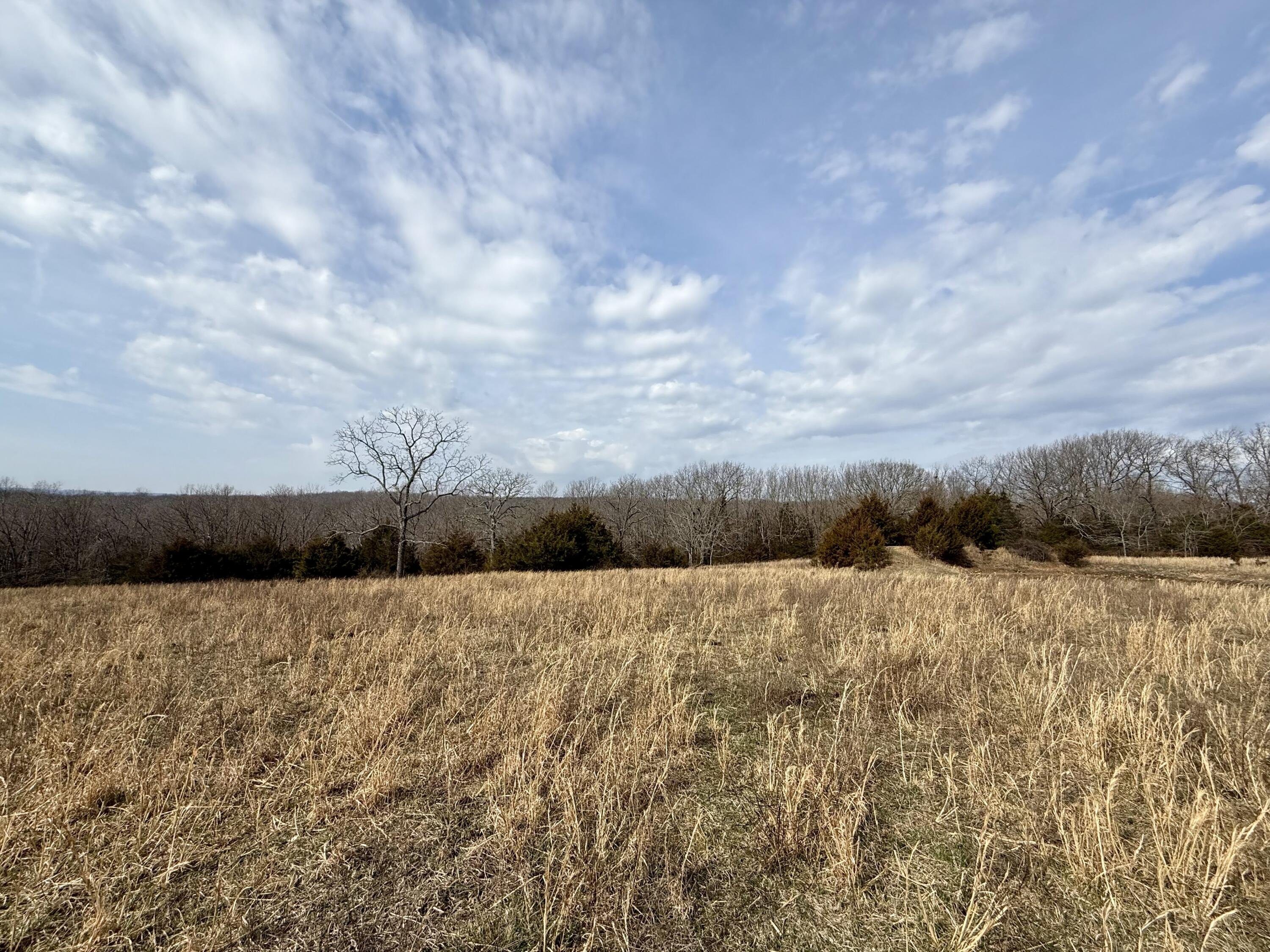 Unrestricted Land in Texas County