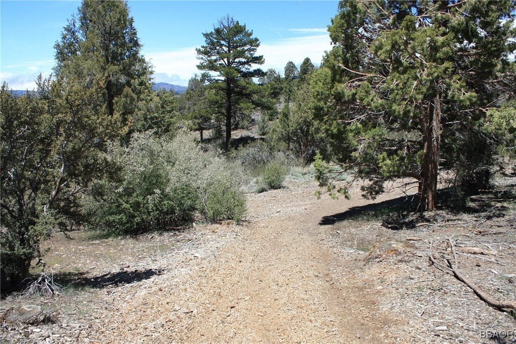 Picture 17