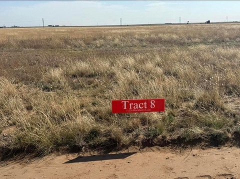 LAND - Hartley, TX