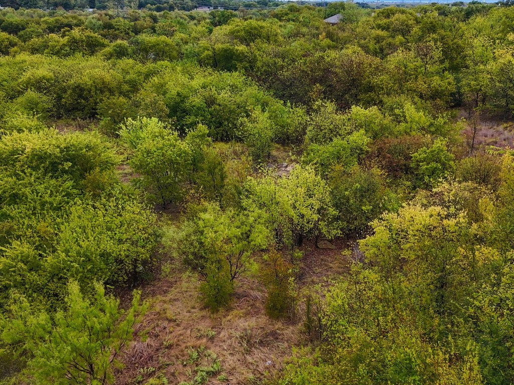 Picture 22