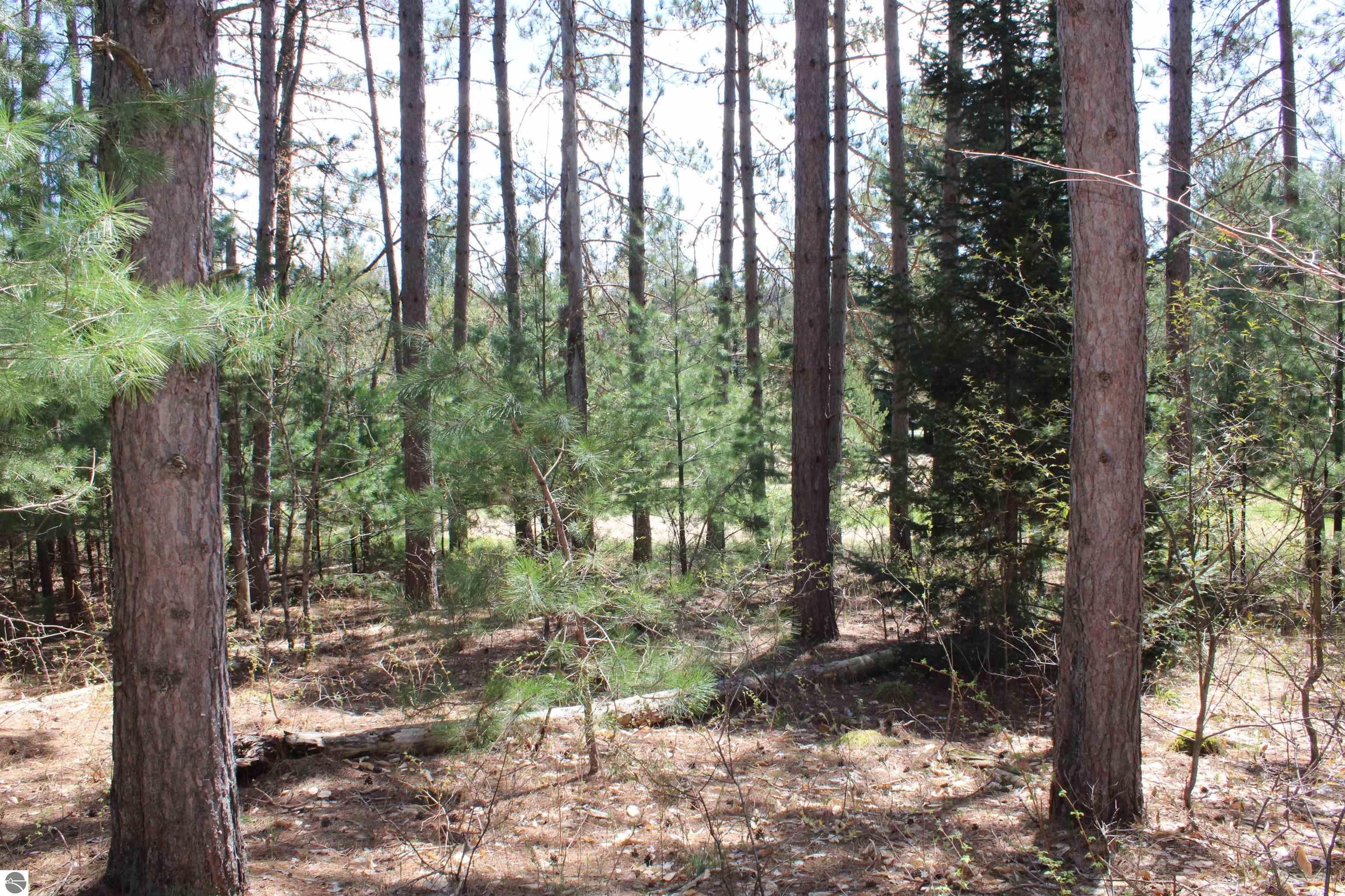 66+ Acres in Clearwater Twp
