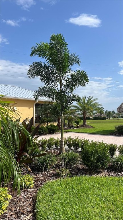 Picture 11