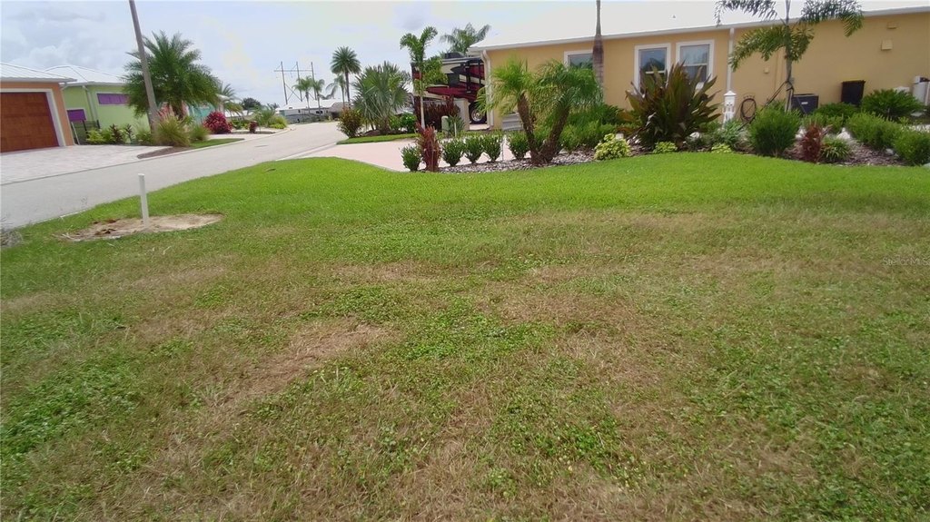 Picture 14