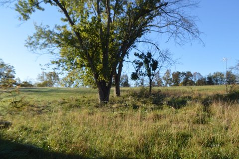 Racine, OH Land For Sale