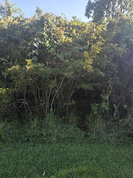 Land, Supply, NC