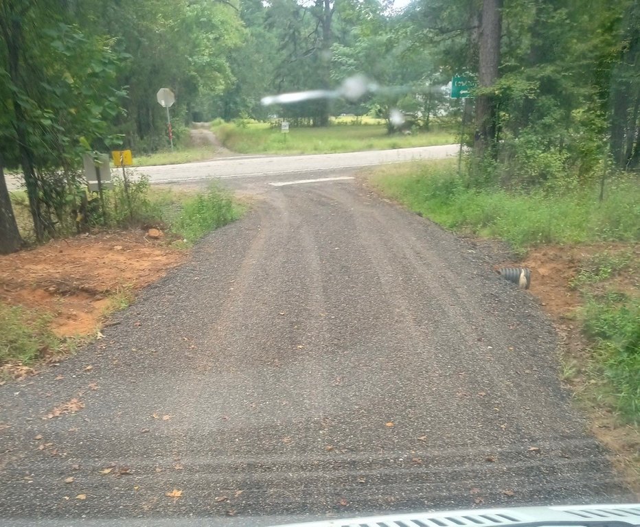 Picture 2