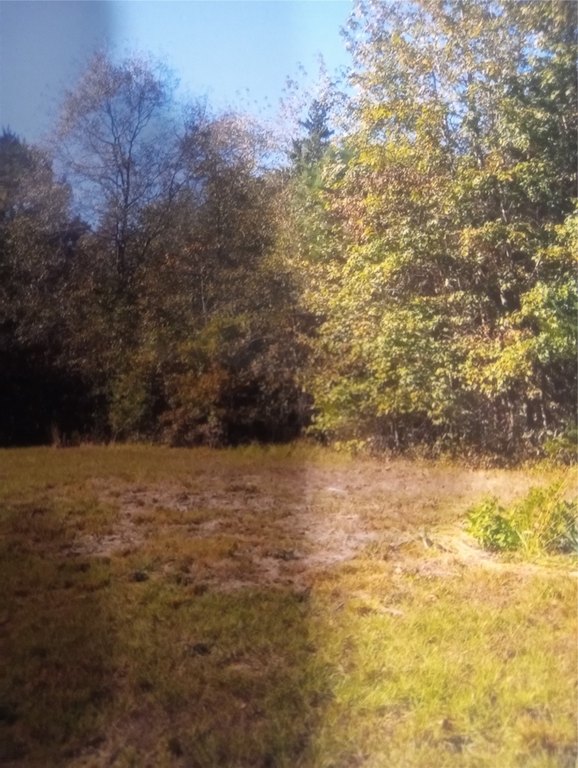 Picture 10