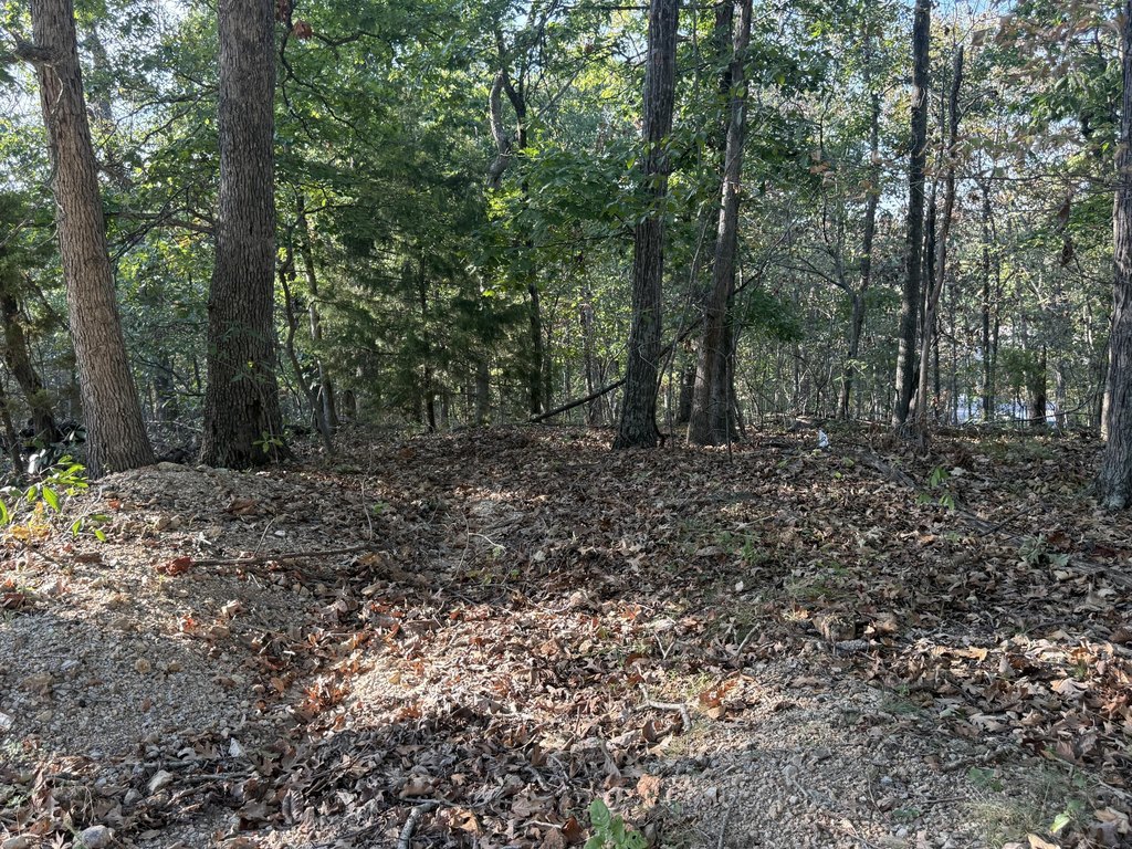 Picture 11