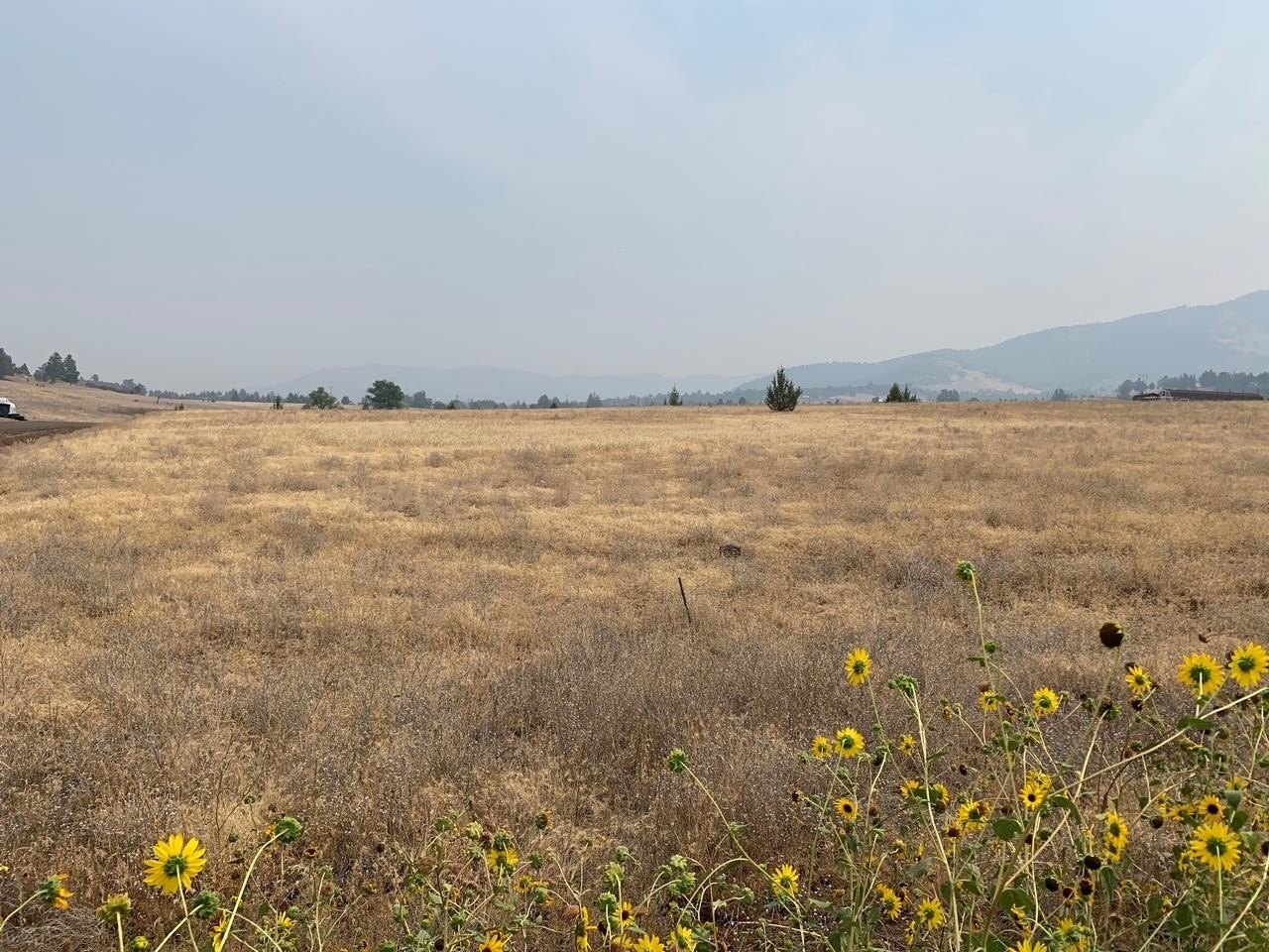 Montague Land Near Klamath River