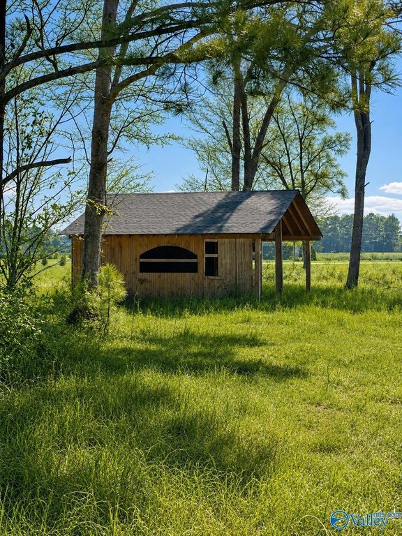 Picture 6