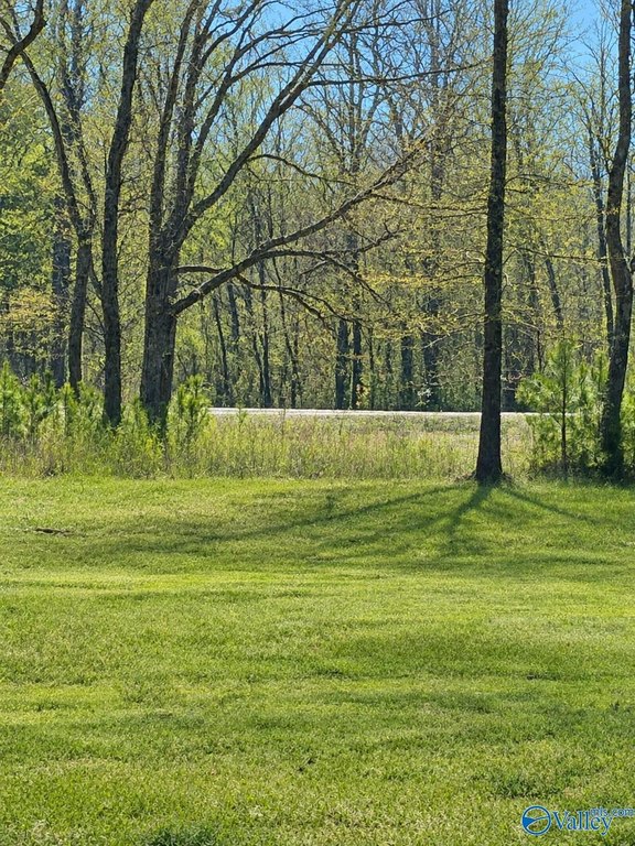Picture 7