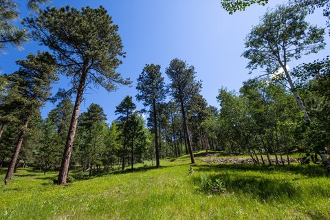Wooded Residential Build Site