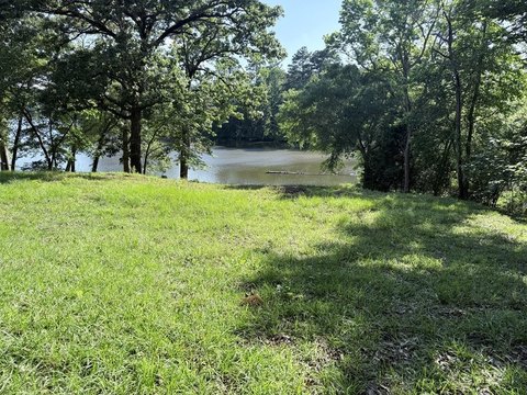 Waterfront Land in Palestine, TX
