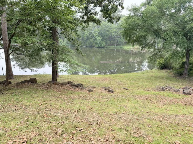 Picture 19