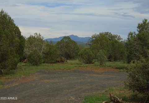 10 Acres in Williams, AZ
