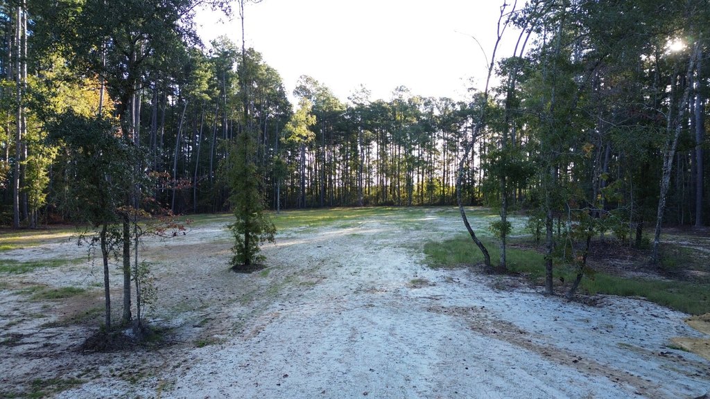 Picture 9