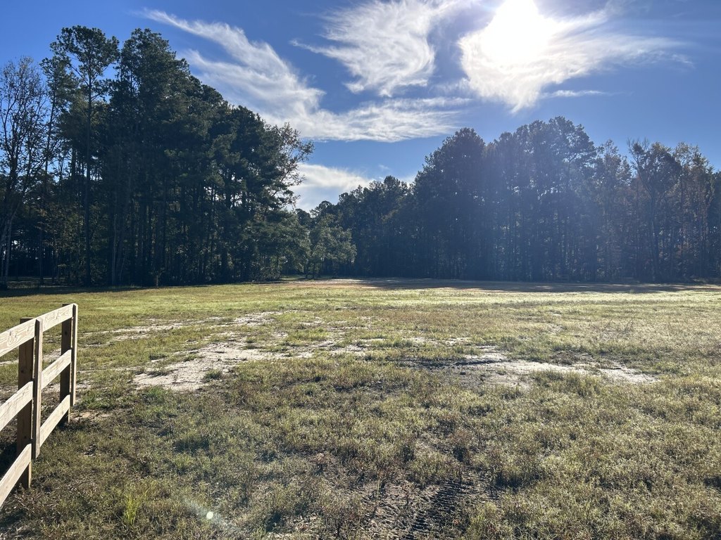 Picture 20
