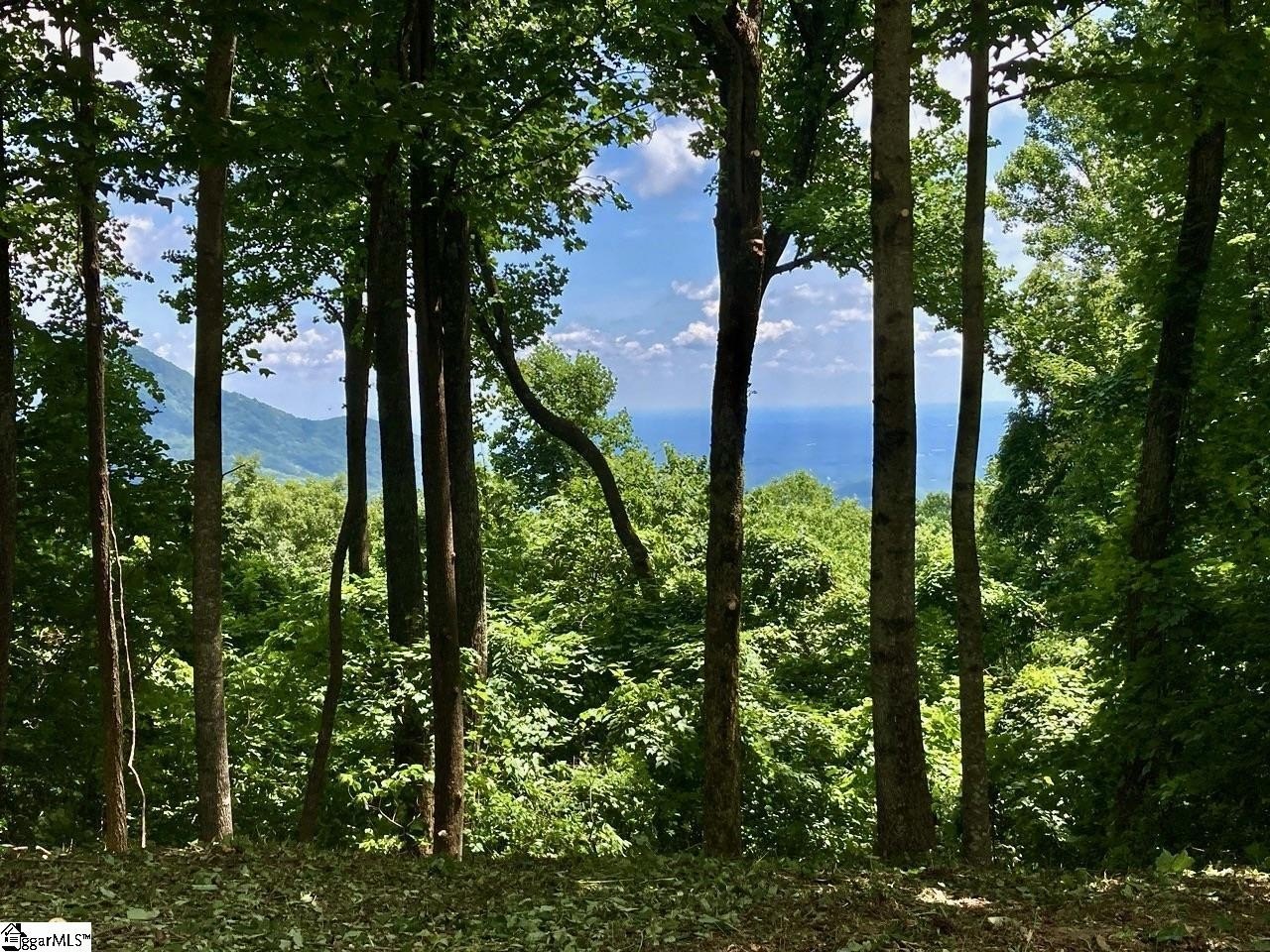 Landrum, SC Homesite with Views