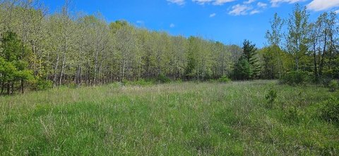 Door County Acreage with Development Potential