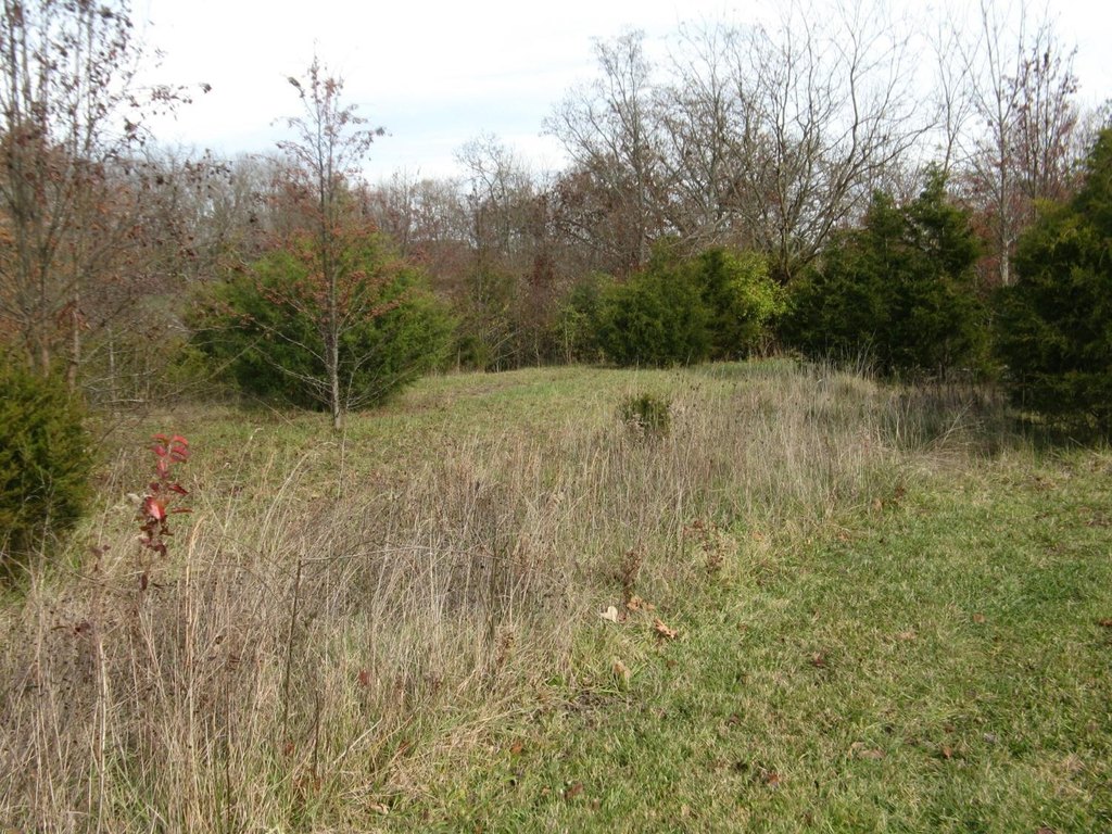 Picture 4