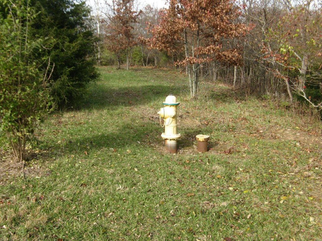 Picture 3