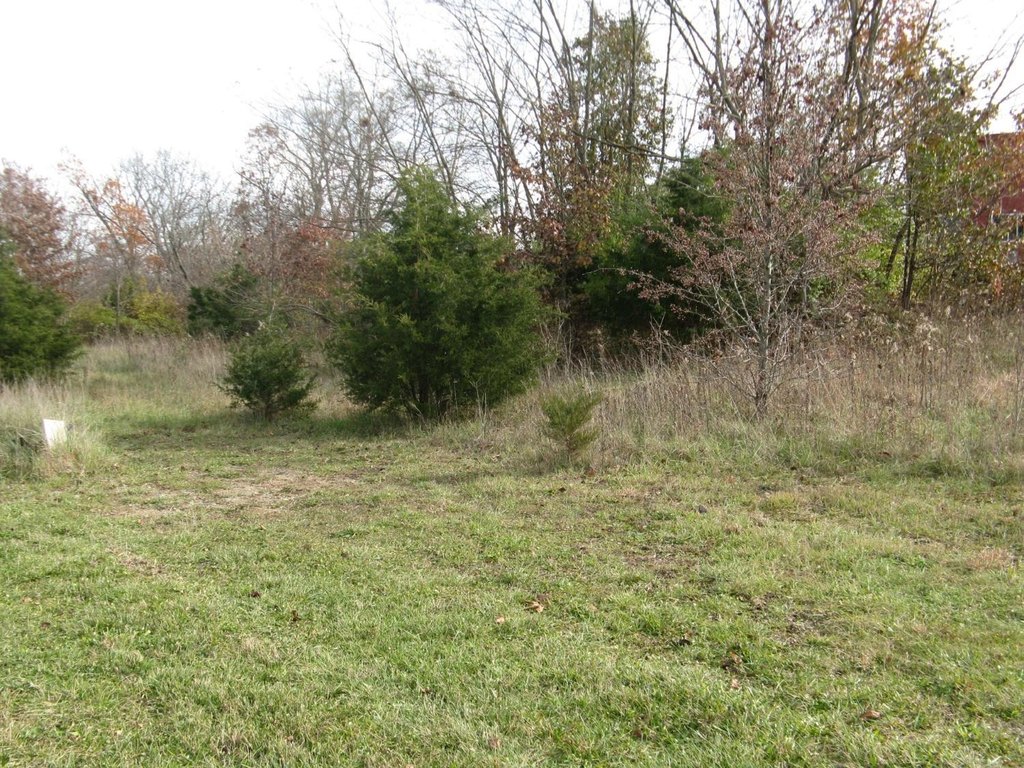 Picture 5