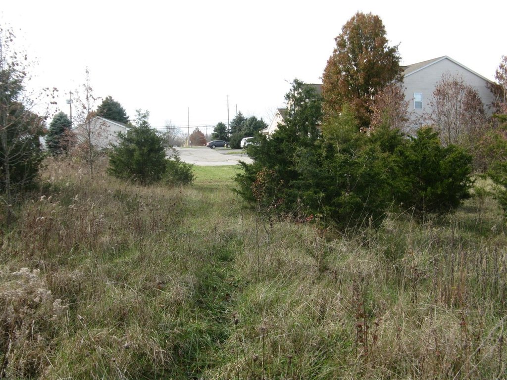 Picture 2