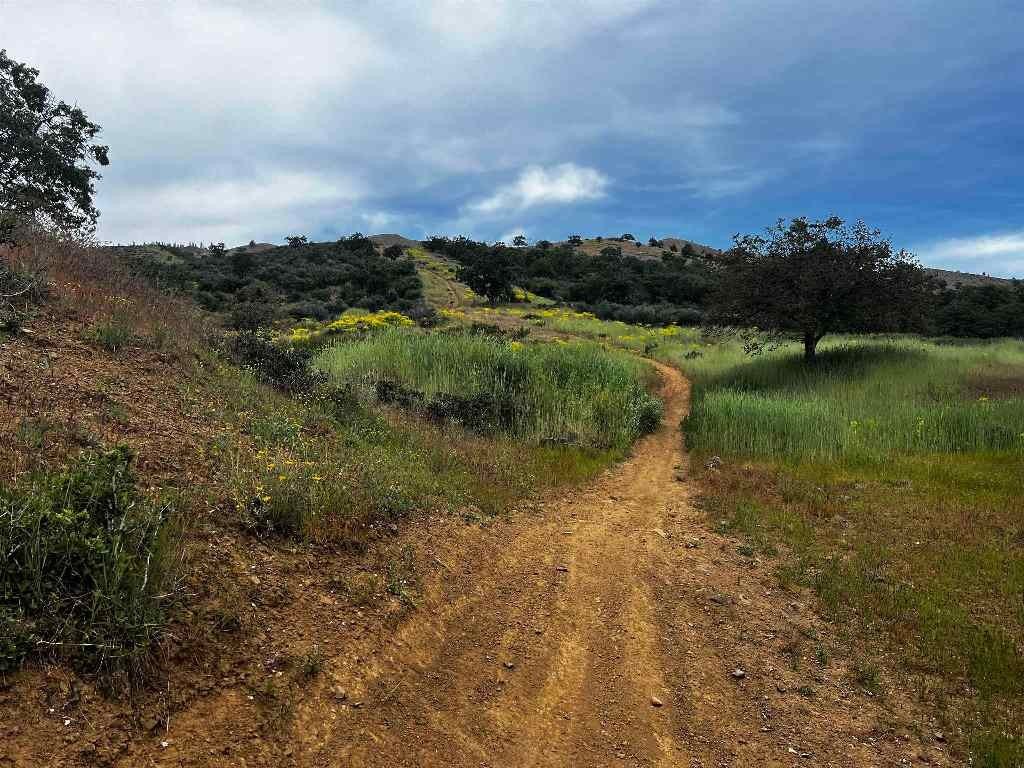 Picture 6